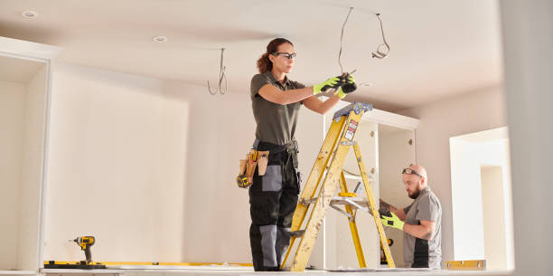 Best Electric Panel Repair  in Sturgeon, MO